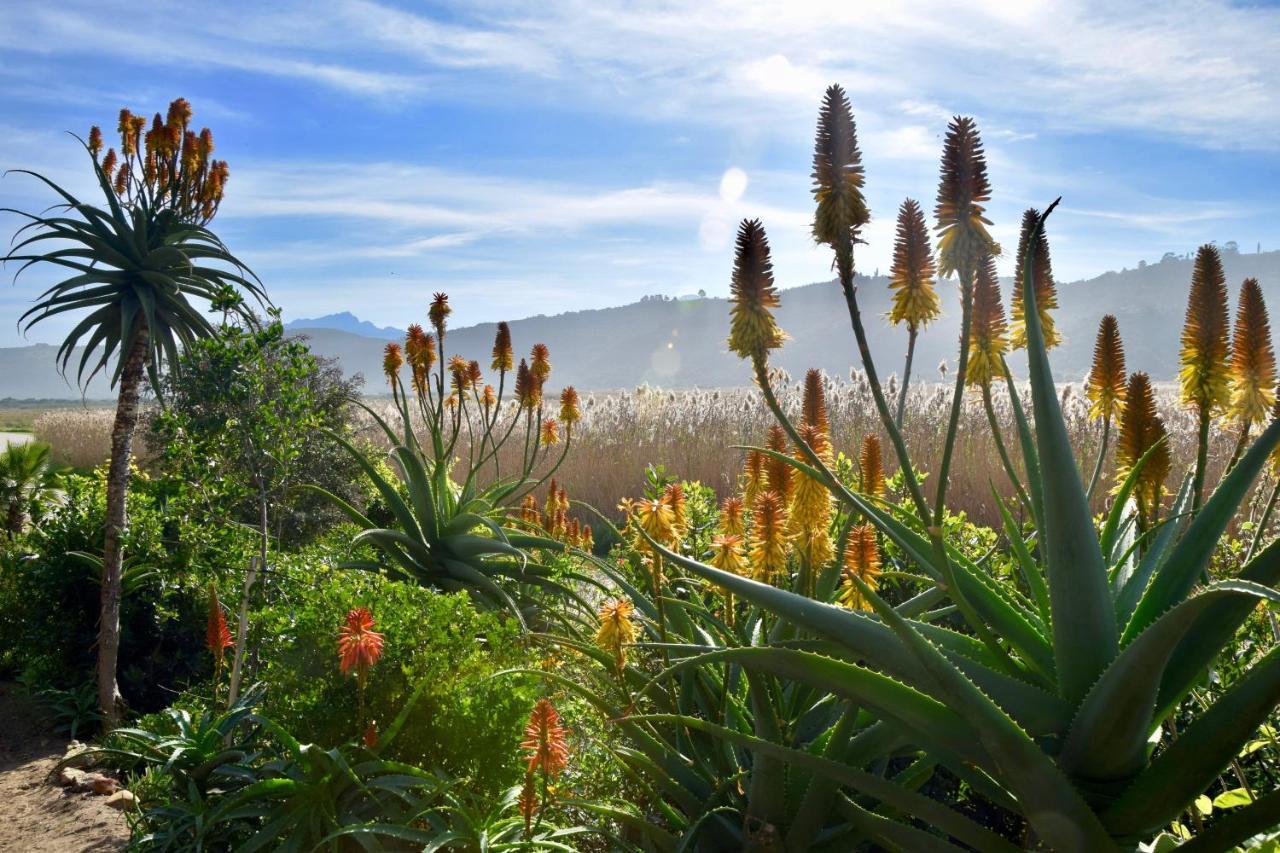 Justfor2 Villa Wildernis Dış mekan fotoğraf