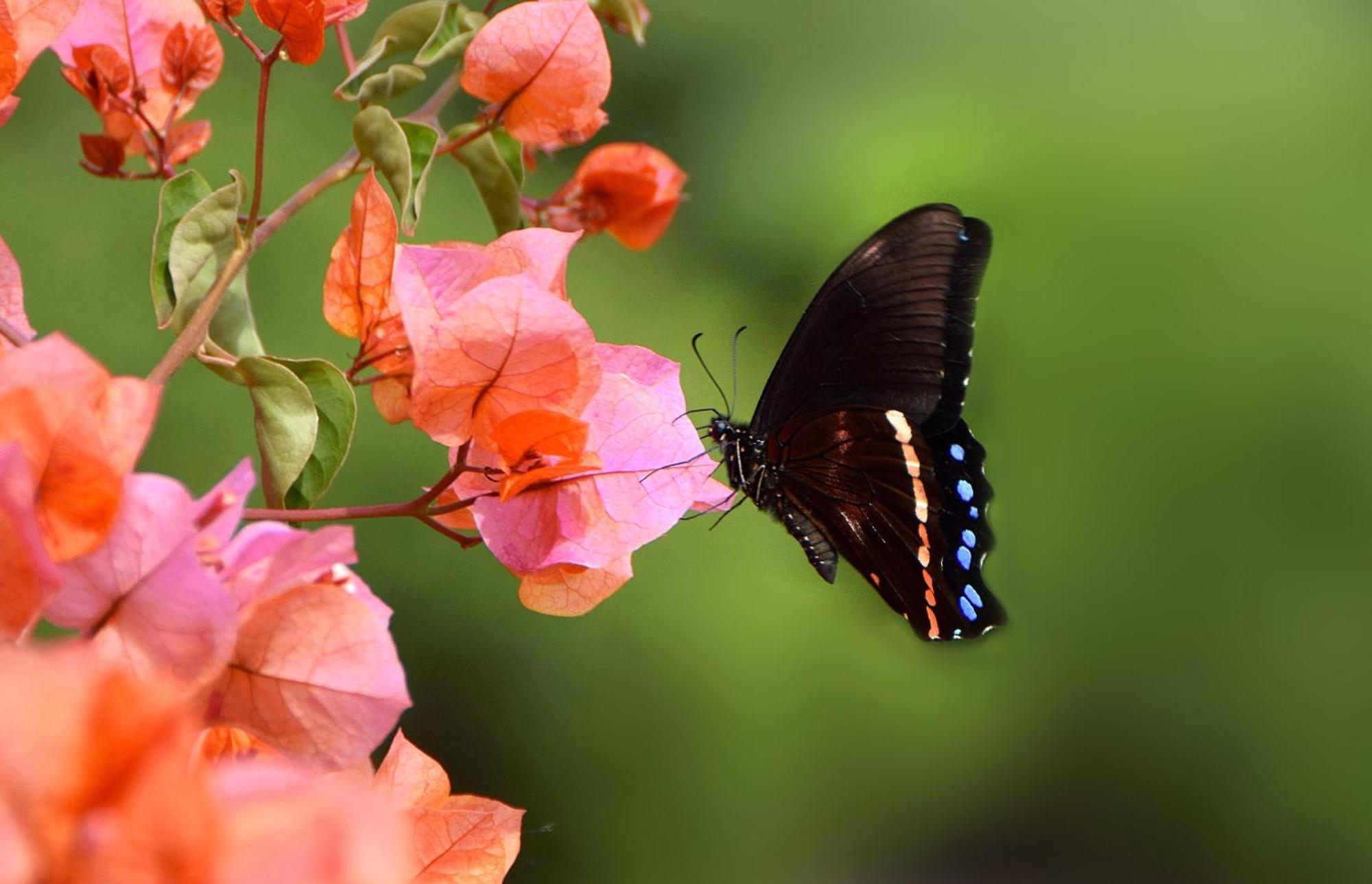 Justfor2 Villa Wildernis Dış mekan fotoğraf